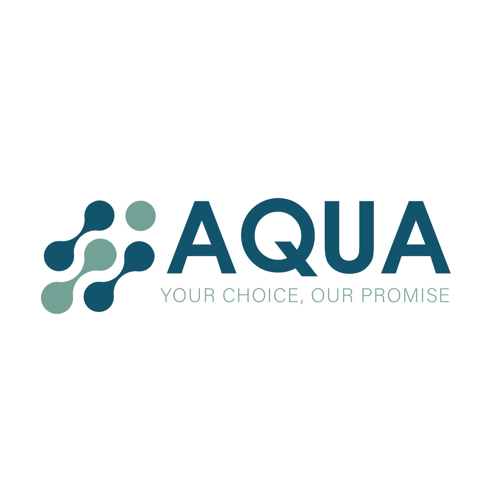 Aqua Software Lebanon logo